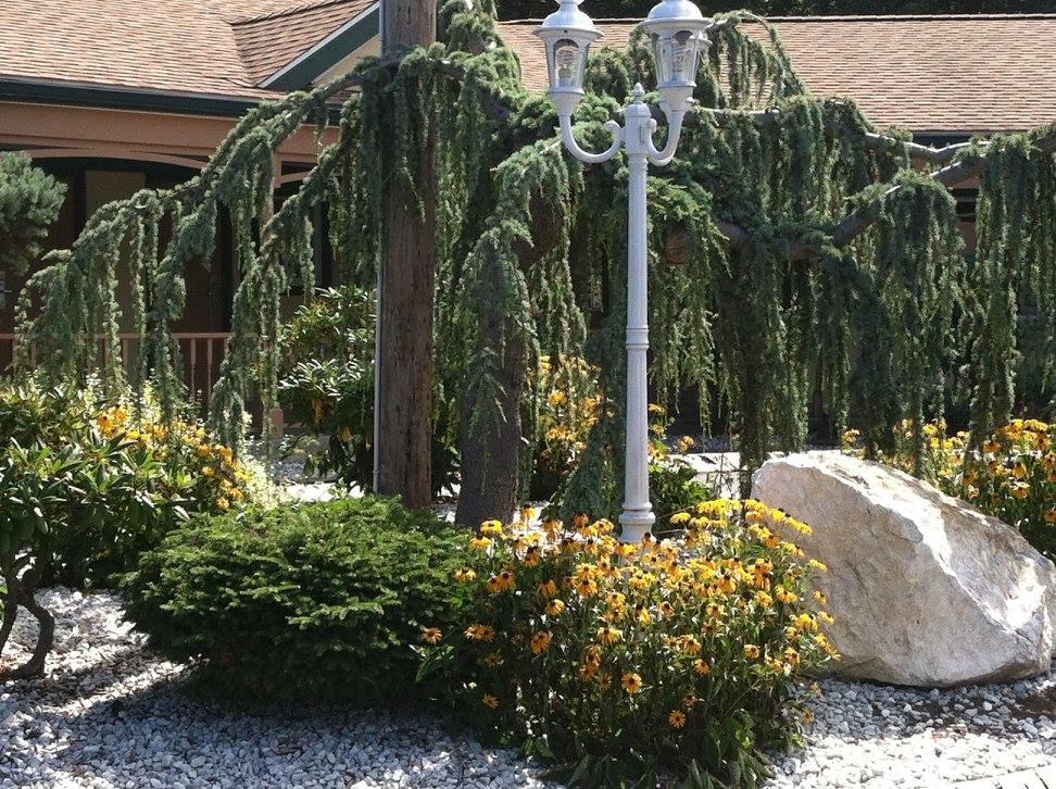 Cheshire Welcome Inn - thumb 3