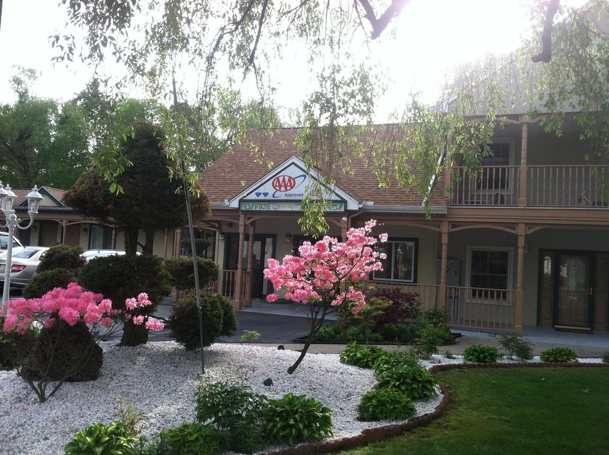 Cheshire Welcome Inn - thumb 5