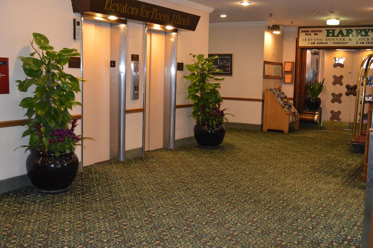 Hotel Harrington - thumb 6