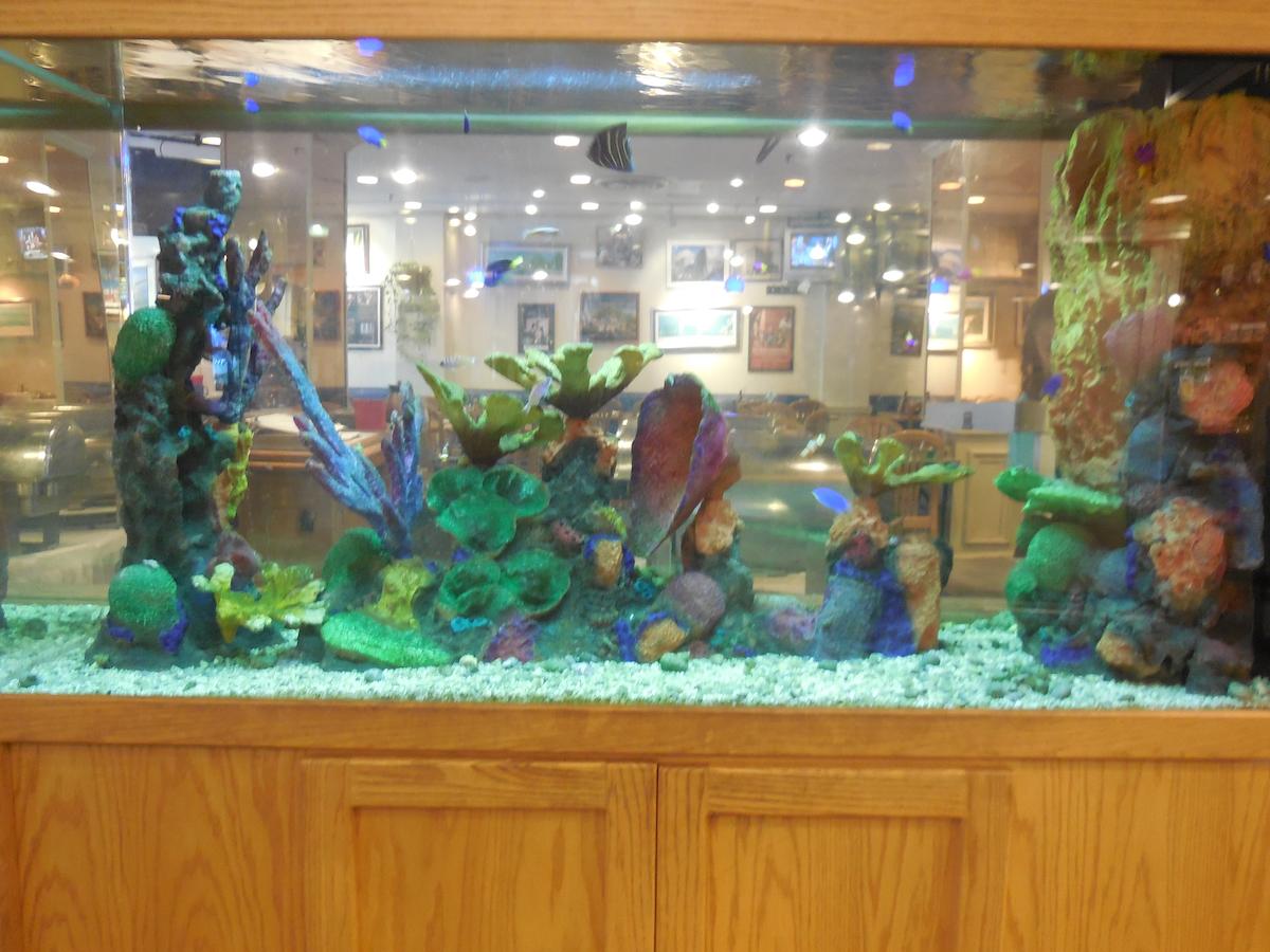 Hotel Harrington - thumb 8