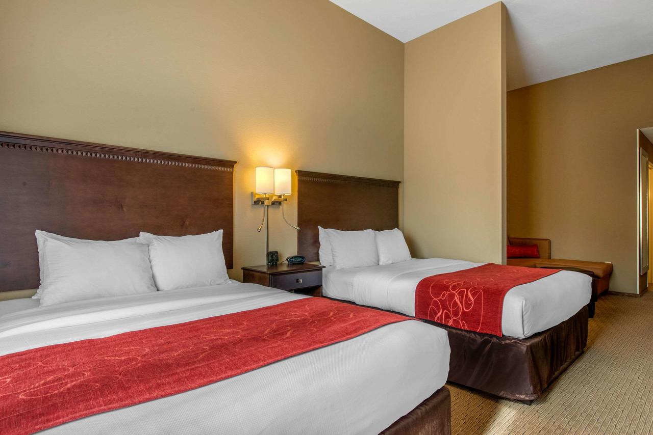 Comfort Suites Sarasota-Siesta Key - thumb 4