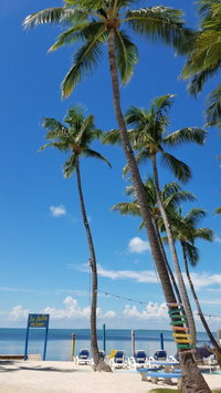 Anastasia Is Fl Accommodation Ohio