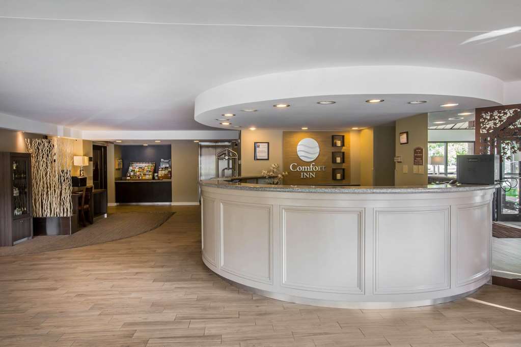 Comfort Inn - thumb 4