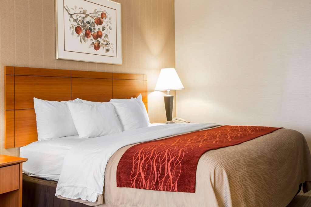 Comfort Inn - thumb 9