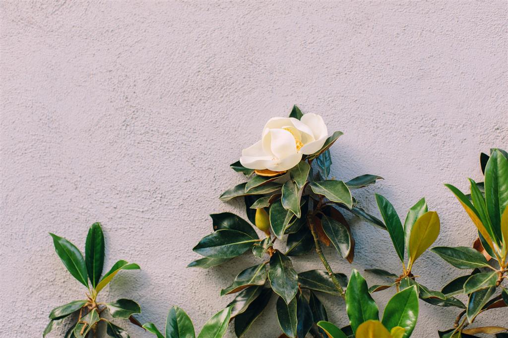 Zero George Street - thumb 15