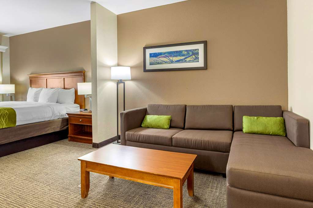 Comfort Inn & Suites - thumb 13