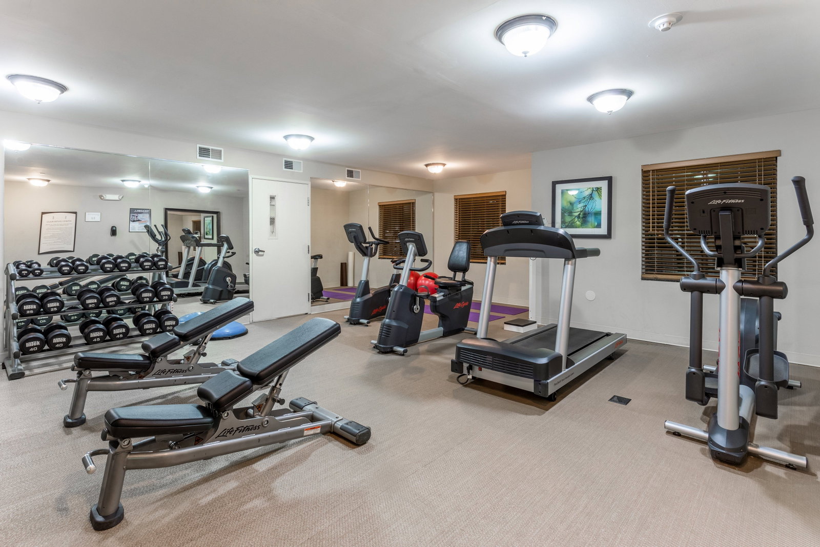Staybridge Suites - thumb 14