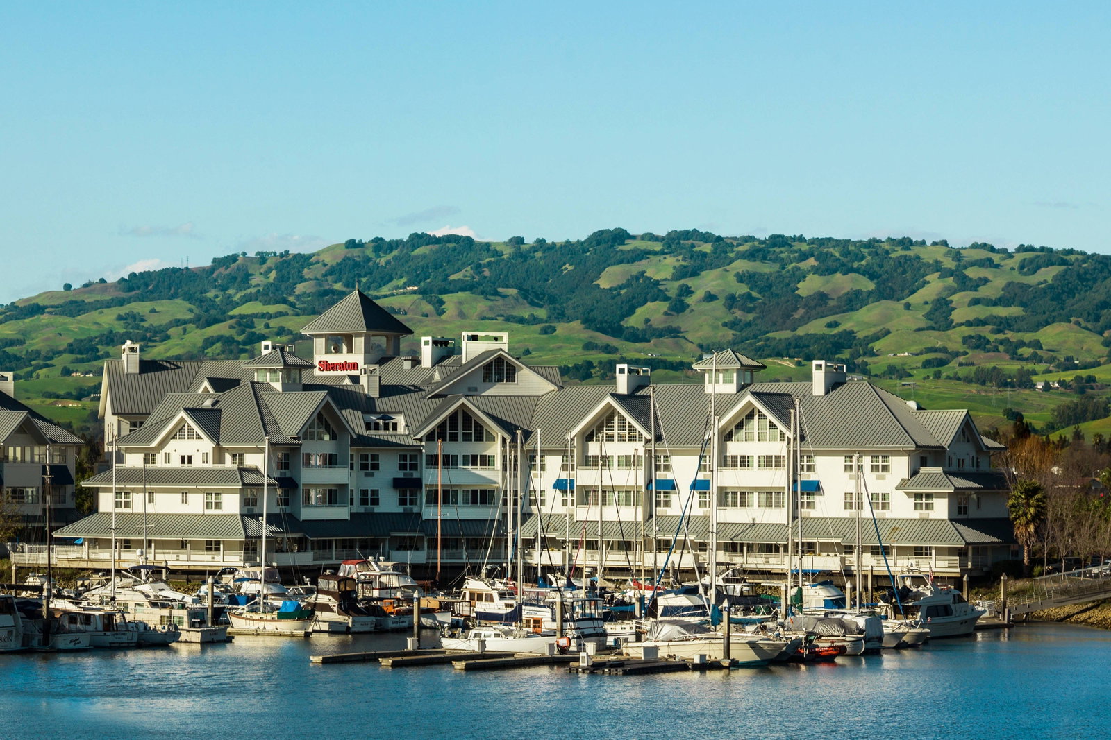 Sheraton Sonoma County - Petaluma - thumb 16