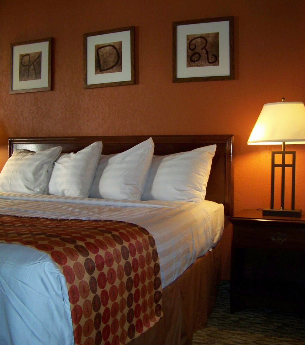 Dobson Ranch Inn And Suites - thumb 1