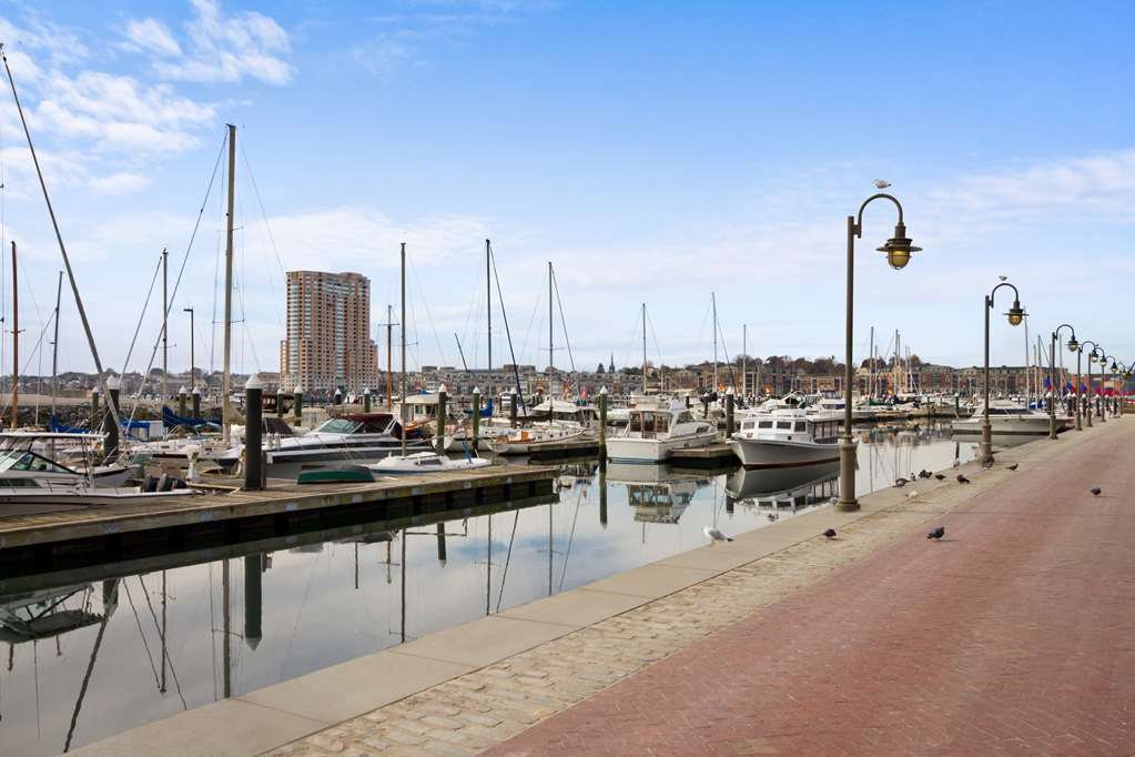 Homewood Suites By Hilton Baltimore - thumb 0