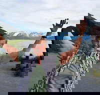 Wilderness Wildlife Glacier Experience from Anchorage - Accommodation Ohio