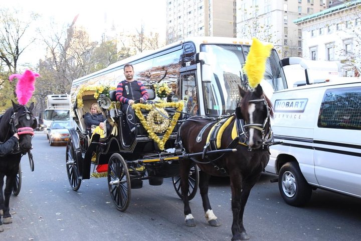 Central Park Private Horse Carriage Tour In NYC - thumb 0