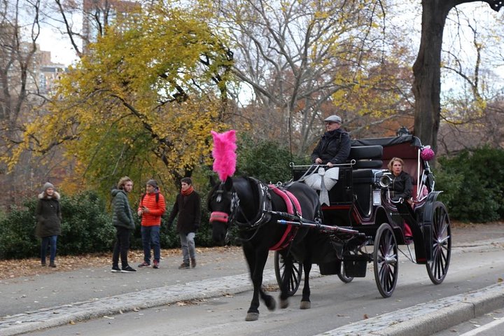 Central Park Private Horse Carriage Tour In NYC - thumb 2
