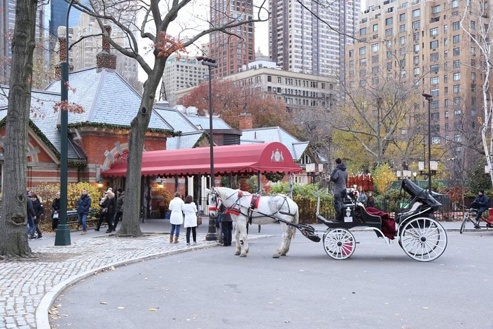 Central Park Private Horse Carriage Tour In NYC - thumb 3