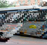 Boston Hop-On Hop-Off Trolley Tour with Harbor Cruise Option - Accommodation Ohio