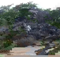 Create Your Own Dallas and Fort Worth Combination Tour - Accommodation Ohio