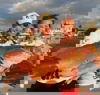 4-Hour Shared Big Game Deep Sea Fishing Charter in Fort Lauderdale - Accommodation Ohio