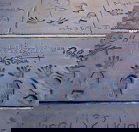 Hollywood Celebrity Homes Tour - Accommodation Ohio