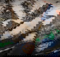 Seattle Shore Excursion Private City Tour - Accommodation Ohio