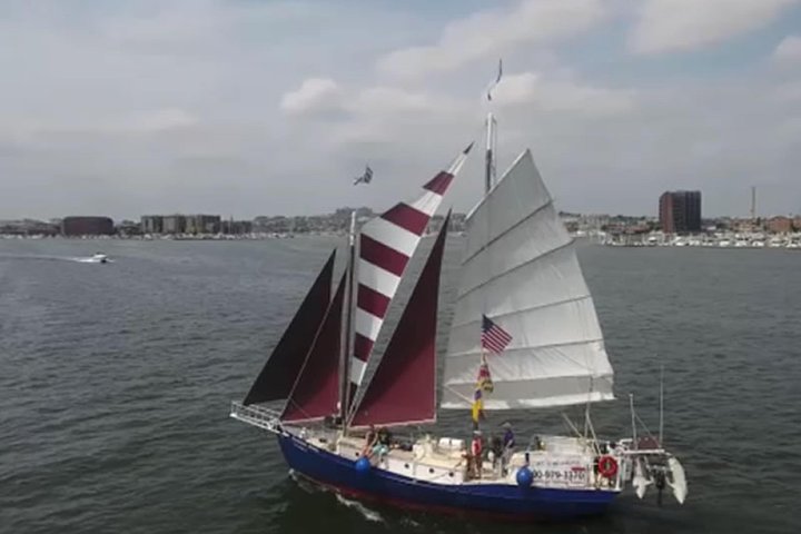 Harbor Sail On Summer Wind - thumb 0