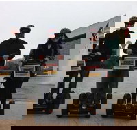 2-Hour Historic Dallas Segway Tour - Accommodation Ohio