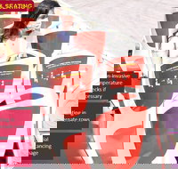 Big Bus Chicago Hop-On Hop-Off Tour - Accommodation Ohio