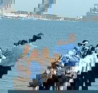 Chicago City Minibus Tour with Optional Architecture River Cruise - Accommodation Ohio