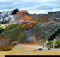 Griffith Observatory Hike Hollywood Hills Walk in Griffith Park - Accommodation Ohio