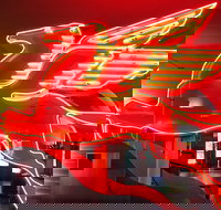 JFK Food and Culture Tour in Dallas - Accommodation Ohio