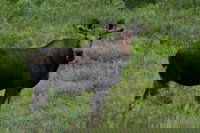 Atka Ak Accommodation Ohio