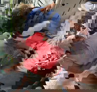 Fort Lauderdale Sailing Charter - Accommodation Ohio