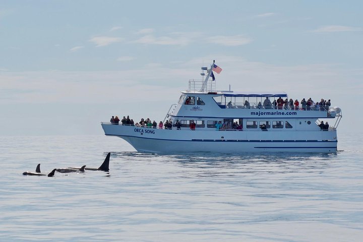 Orca Quest Cruise - thumb 2