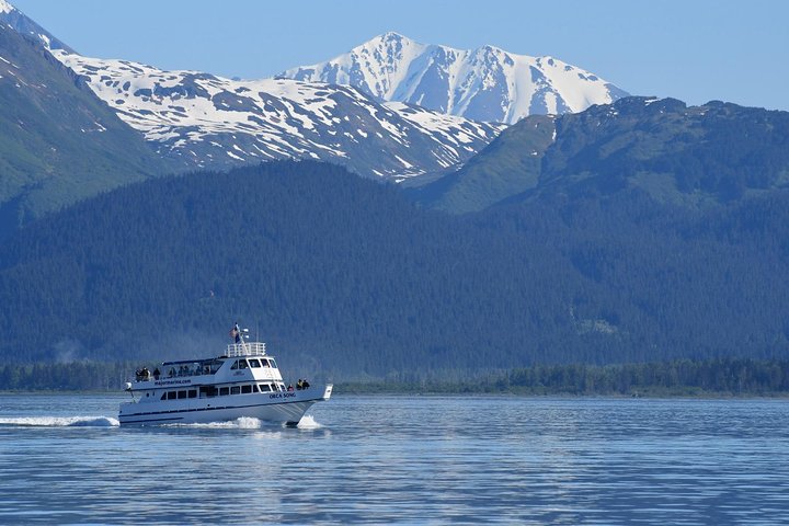 Orca Quest Cruise - thumb 4