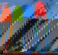 Island City ECO Paddle  Lesson Explores Nature Preserve Tropical Wild Life - Accommodation Ohio