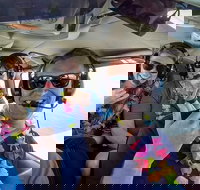 Maui Circle Island -Private- Air Tour Maui's Magical  Hidden Beauty Revealed - Accommodation Ohio