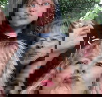 Participate in a Fun Scavenger Hunt in Little Rock by Zombie Scavengers - Accommodation Ohio