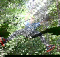 10 Zip Line Zip Tour 1.5 hours - Accommodation Ohio