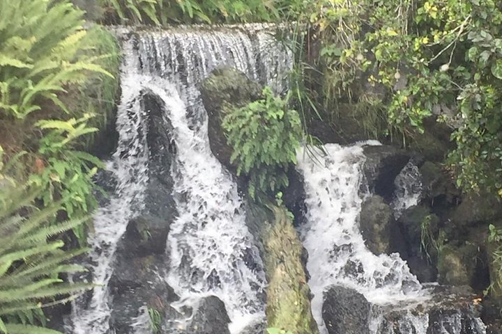 Los Angeles Arboretum City Tour - thumb 2