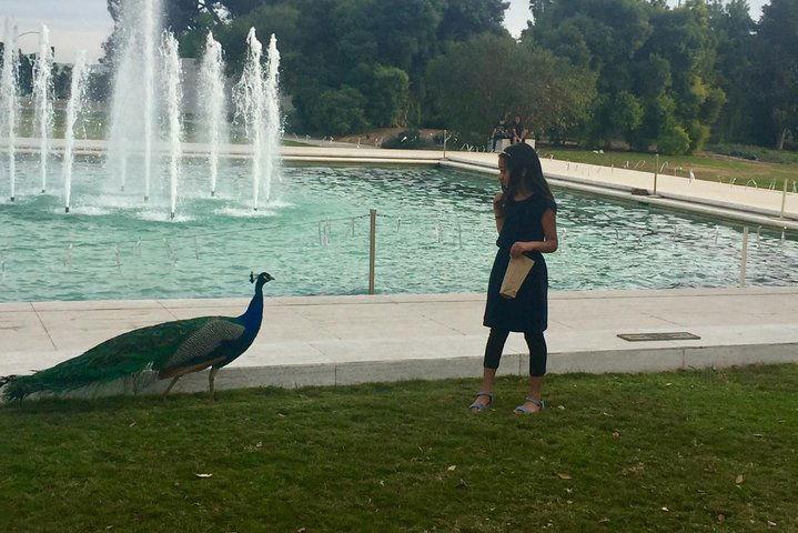 Los Angeles Arboretum City Tour - thumb 4