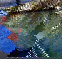 Manatee Viewing Cruise - Accommodation Ohio