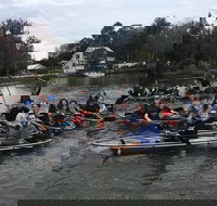 Clear Kayak Tour of Crystal River - Accommodation Ohio