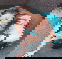 Fun City Scavenger Hunt in Hartford by Zombie Scavengers - Accommodation Ohio