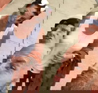 Explore Hartford with a Unique Scavenger Hunt by Crazy Dash - Accommodation Ohio