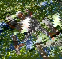 Fields of Fire Adventure Park Admission Ticket - Accommodation Ohio