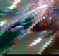 Private Manatee Tour - Accommodation Ohio