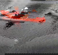 4 Hour Single Kayak Rental In Crystal River Florida - Accommodation Ohio