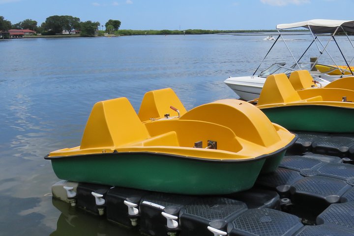 Family Friendly Pedal Boat Rental - thumb 0