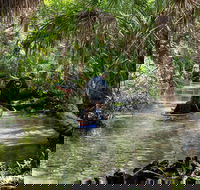 Clear Kayak Tours on Chassahowitzka River - Accommodation Ohio