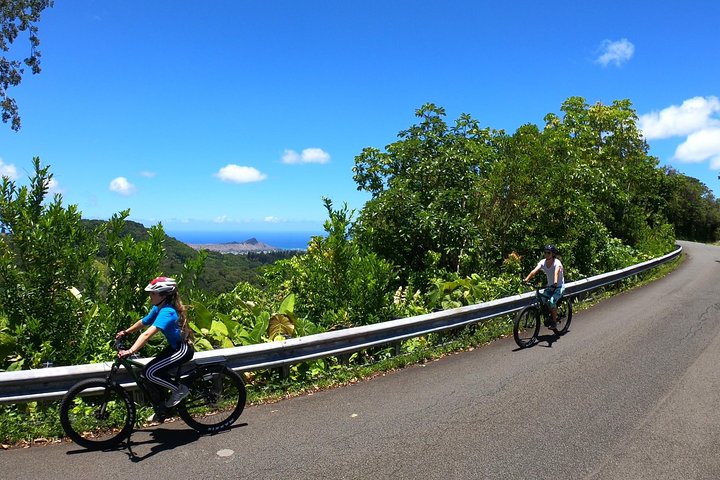 EBike Tour Honolulu Rainforest - thumb 0