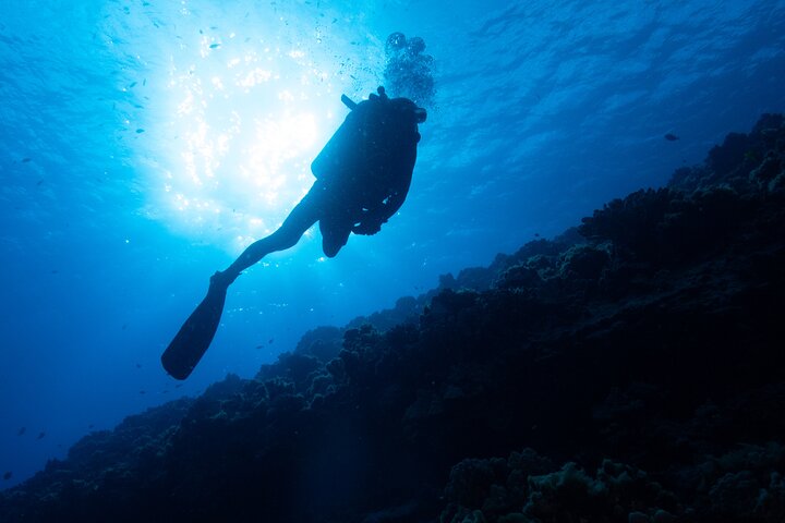 Scuba Diving In South Maui. No Experience Required. - thumb 2